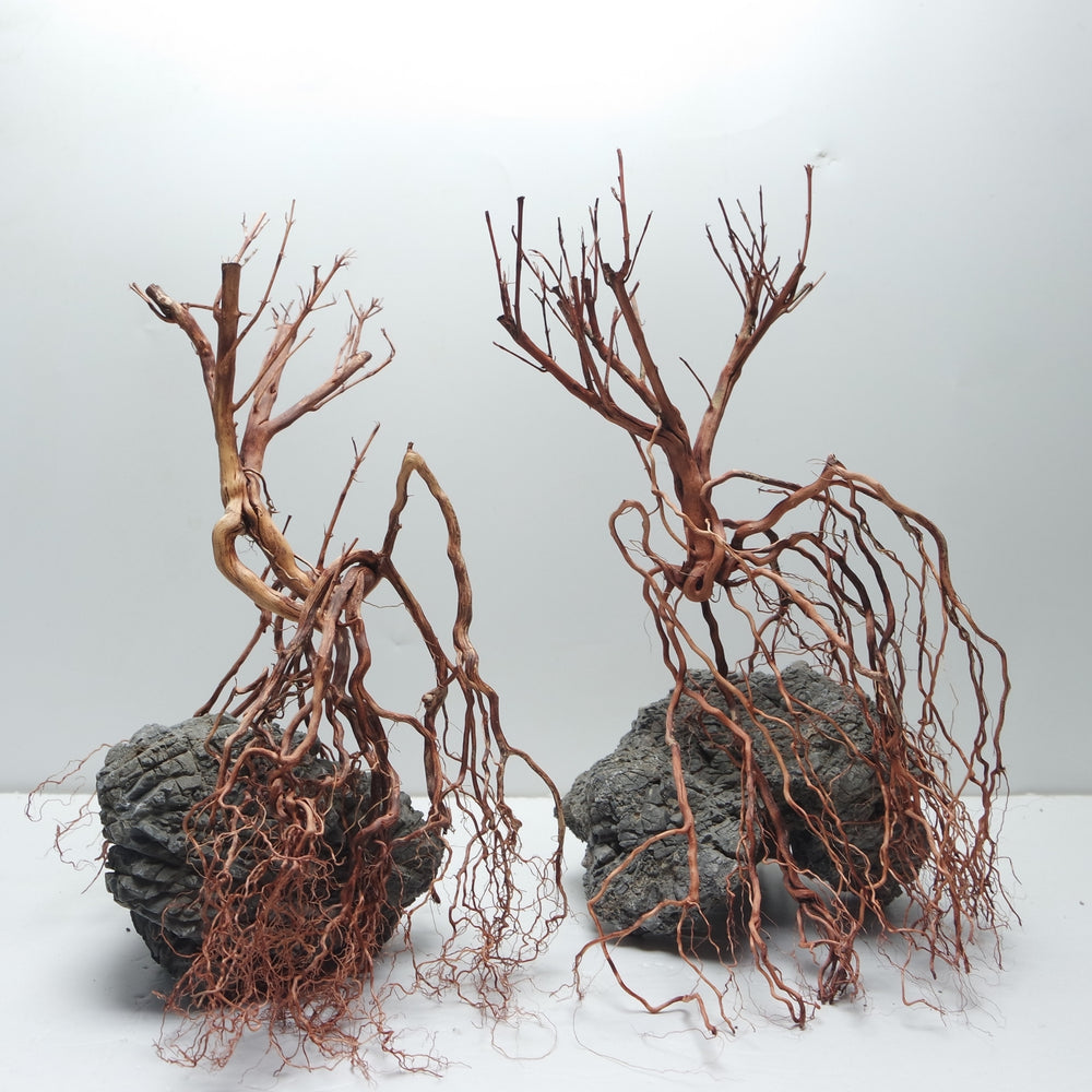 Whiskers Wood - Aquascaping Driftwood Roots